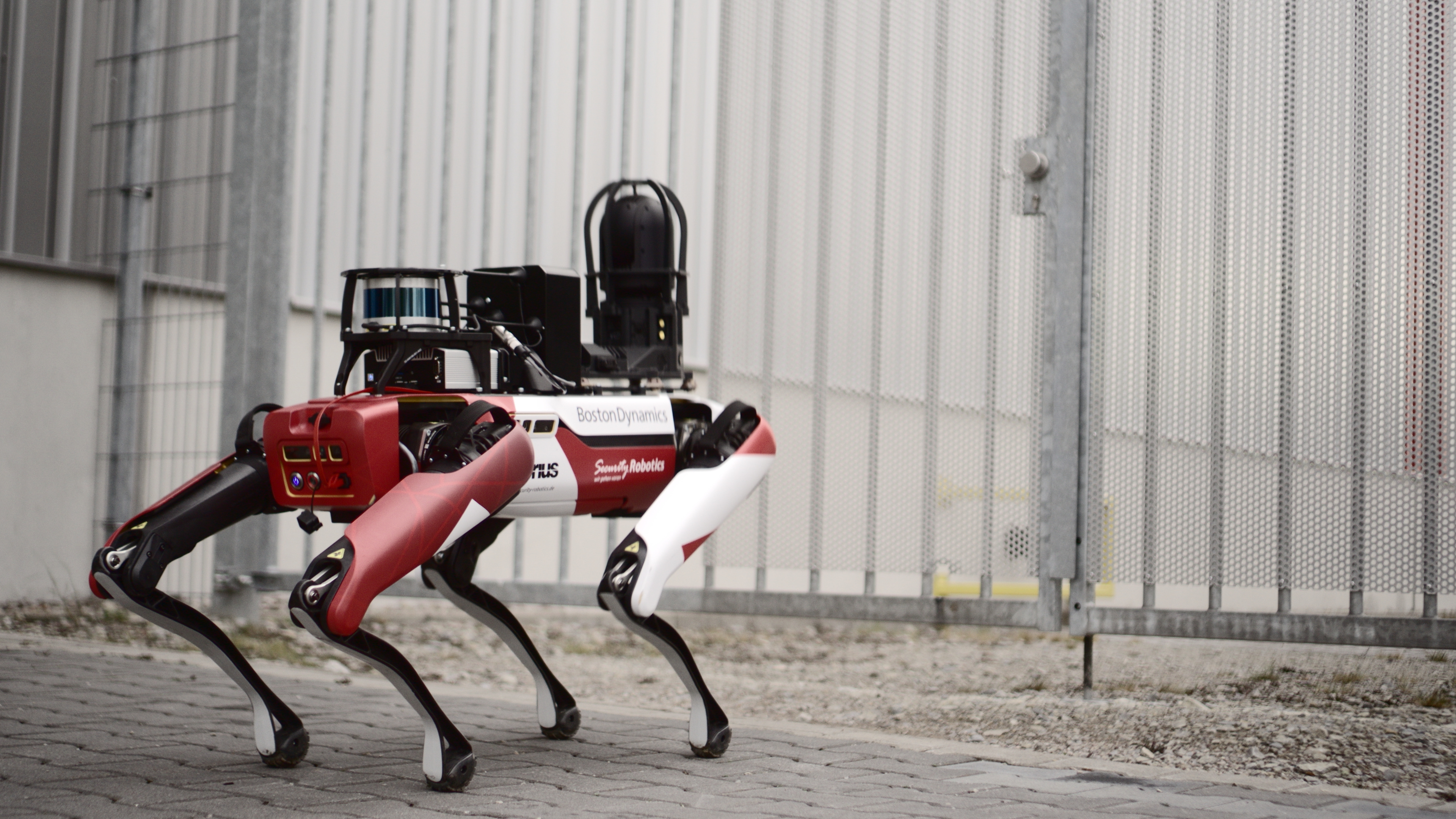 Vierbeiniger CIBORIUS Roboter mit Aufbaukamera auf einem gepflasterten Weg vor einem geschlossenen Metallzaun