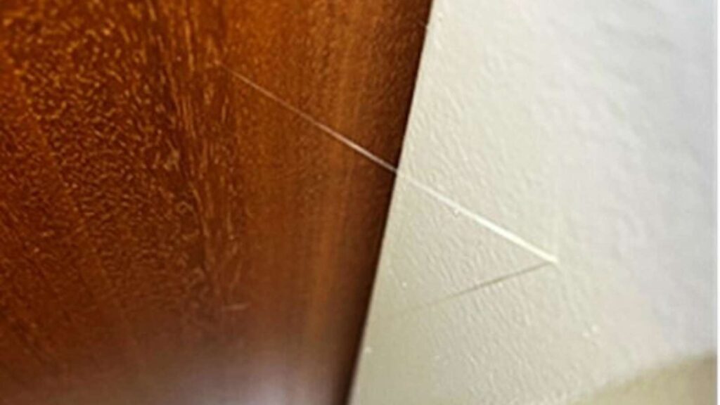 Klebefaden an Wohnungstür nach Einbruch in Brandenburg